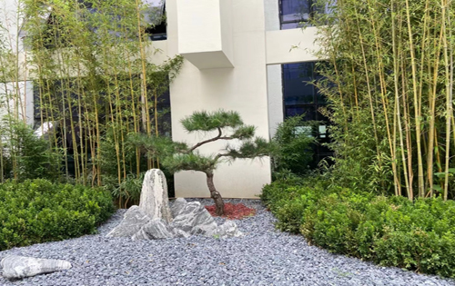 珺塘科创产业园内景